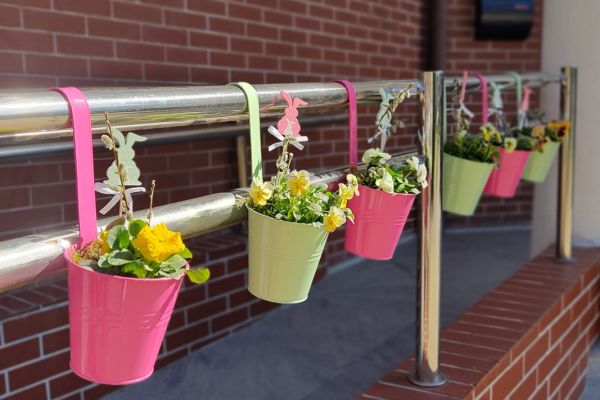 Dekoracje świąteczne w doniczkach.