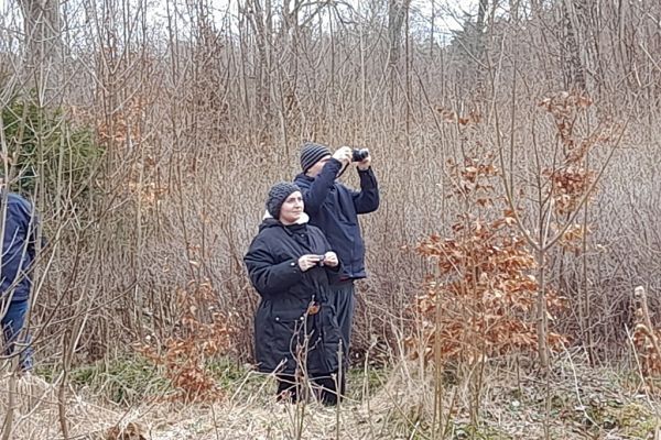 Mieszkańcy trzymają aparaty i fotografują przyrodę.