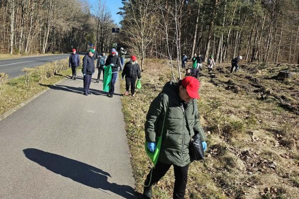 Mieszkańcy idą po lesie z workami do sprzątania.
