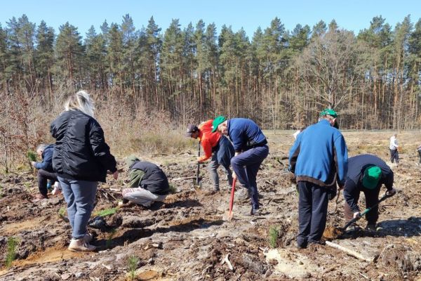 Mieszkańcy sadzili las.