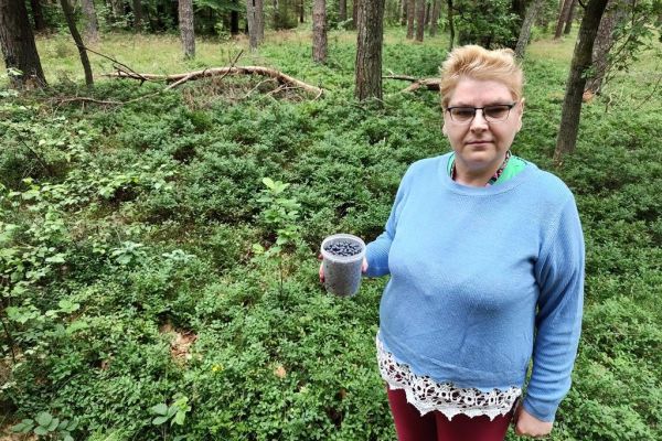 Mieszkanka z jagodami w słoiku.