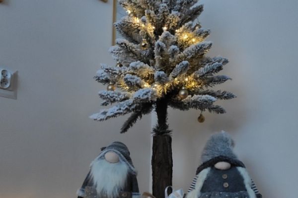 Ustrojona choinka w DPS w Lubuczewie.