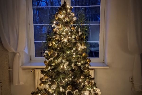 Ustrojona choinka w DPS w Lubuczewie.