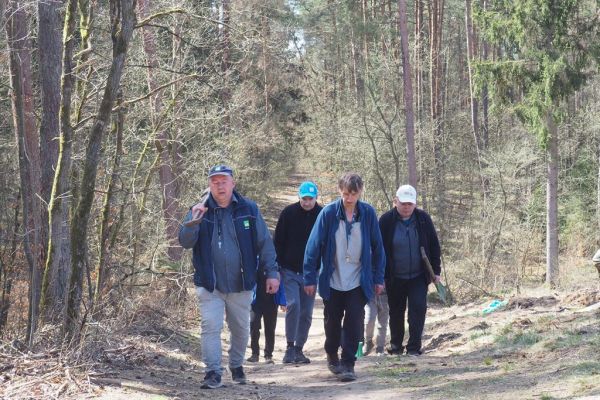 Mieszkańcy wracaja drogą leśna po posadzeniu drzewek.