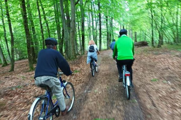 Mieszkańcy jada na rowerach przez las.