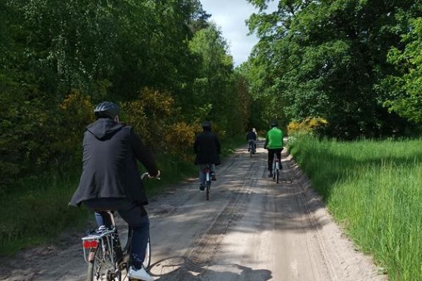 Mieszkańcy jada na rowerach przez las.