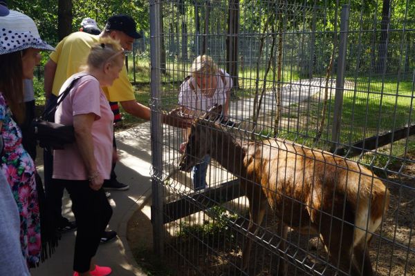 Mieszkańcy w Canpolu w Człuchowie oglądaja zwierzęta.