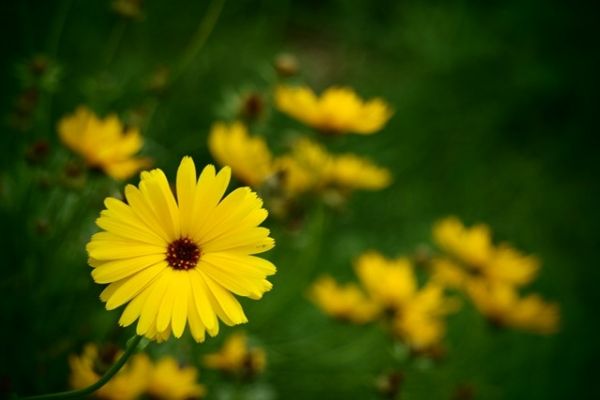 resize-w-700-h-700-img-92d97a3f96dc3890d0ca4d7f49ea3496C8363BE1-17E3-14BF-D47C-2223CB9A72B2.jpg