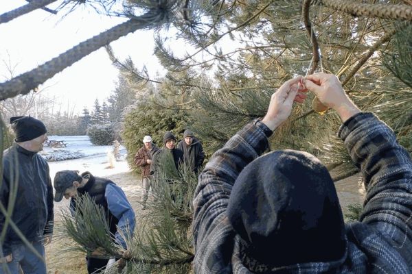 Mieszkaniec wiesza pokarm dla ptaków.
