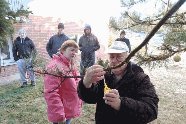 Mieszkaniec wiesza pokarm dla ptaków.