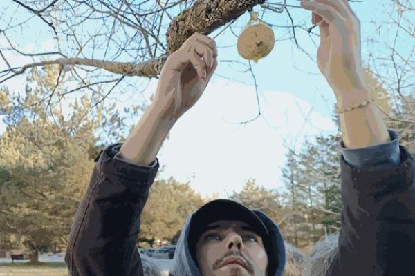 Mieszkaniec wiesza pokarm dla ptaków.