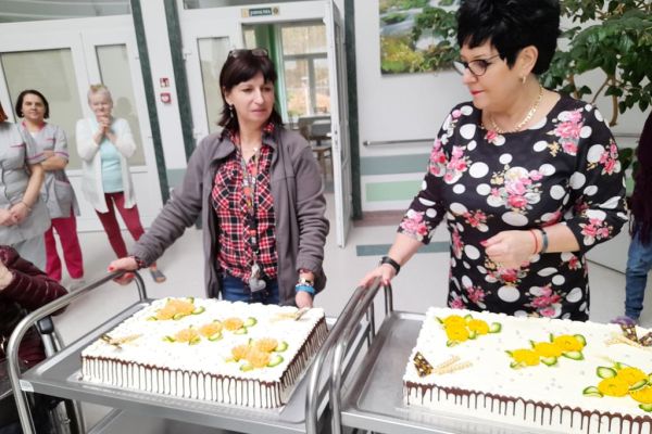 Pani Dyrektor i Pani Kierownik przywiozły torty w kształcie prostokątów, udekorowane kwiatami na wózkach gastronomicznych
