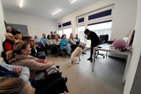 Mieszkańcy podczas wykładu w schronisku dla zwierząt.