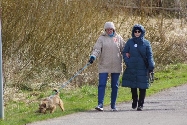 Mieszkańcy wraz z uczestnikami UTW z Rędzikowa wyprowadzają psy na spacer ze słupskiego schroniska dla zwierząt.