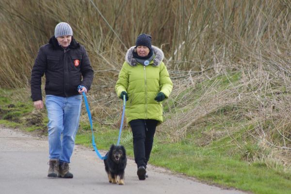 Mieszkańcy wraz z uczestnikami UTW z Rędzikowa wyprowadzają psy na spacer ze słupskiego schroniska dla zwierząt.