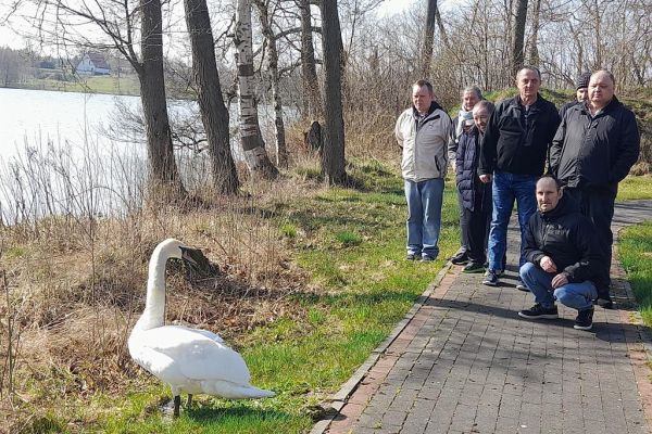 Grupa mieszkańców przygląda się łabędziowi nad jeziorem.