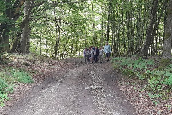 Mieszkańcy idą leśną ścieżką.