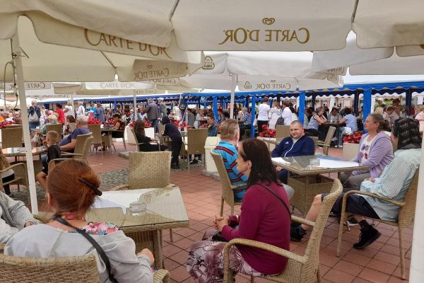 Mieszkańcy wśród innych uczestników pikniku dla seniorów siedzą pod letnimi parasolami.