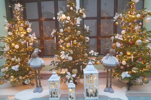 Boźonarodzeniowy wystój Domu - trzy choinki, 2 reniferki i latarenki.