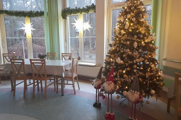 Boźonarodzeniowy wystój Domu - choinka i skrzaty.