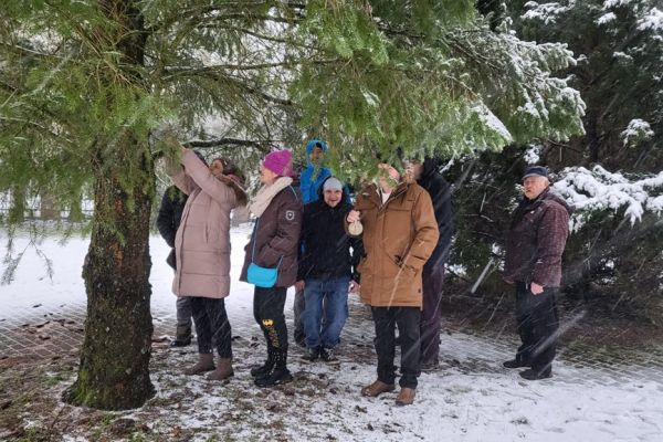 Mieszkańcy wieszają kule z ziarnami na drzewie.