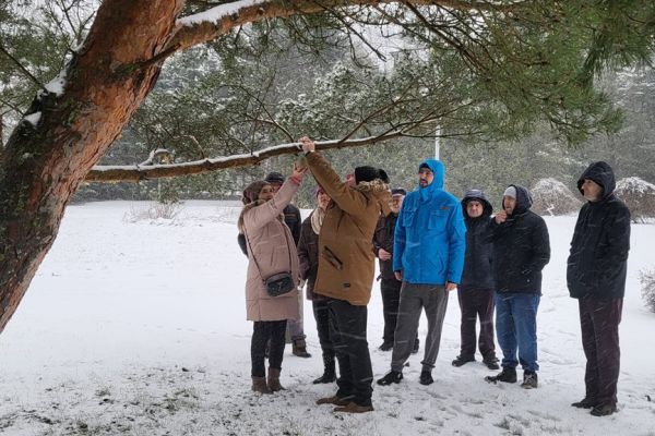 Mieszkańcy wieszają kule z ziarnami na drzewie.
