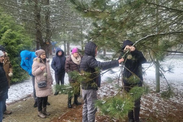 Mieszkańcy wieszają kule z ziarnami na drzewie.