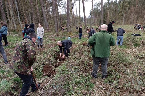 Mieszkańcy wraz z innymi uczestnikami sadzą las.