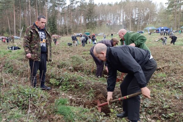 Mieszkańcy wraz z innymi uczestnikami sadzą las.