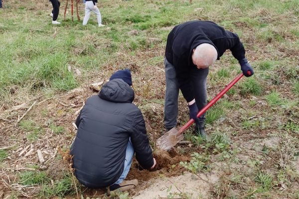 Mieszkańcy wraz z innymi uczestnikami sadzą las.