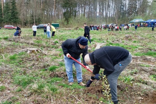 Mieszkańcy wraz z innymi uczestnikami sadzą las.