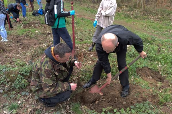 Mieszkańcy wraz z innymi uczestnikami sadzą las.