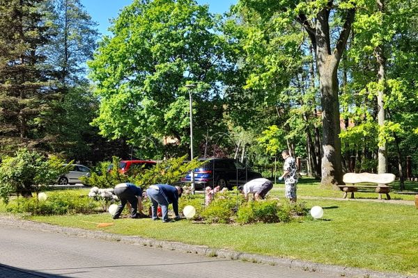 Mieszkańcy sprzątają kląb z kwiatami przy Domu.