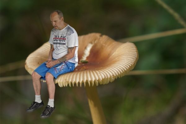 Mieszkaniec siedzi na grzybku.
