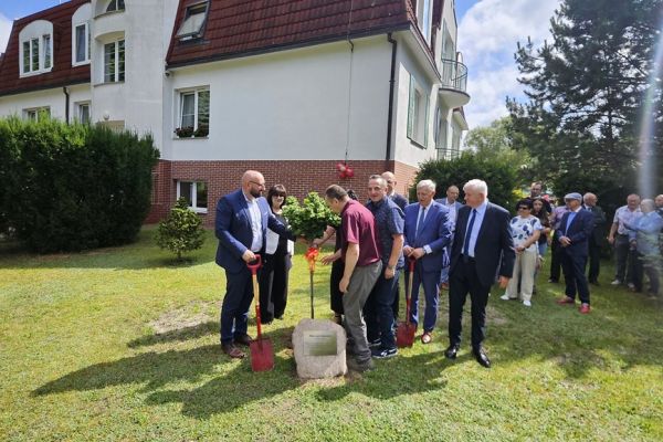 Władza sadzi drzewko.