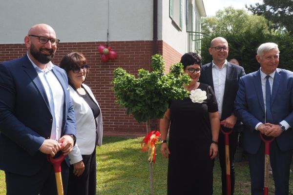 Władza przy drzewku.